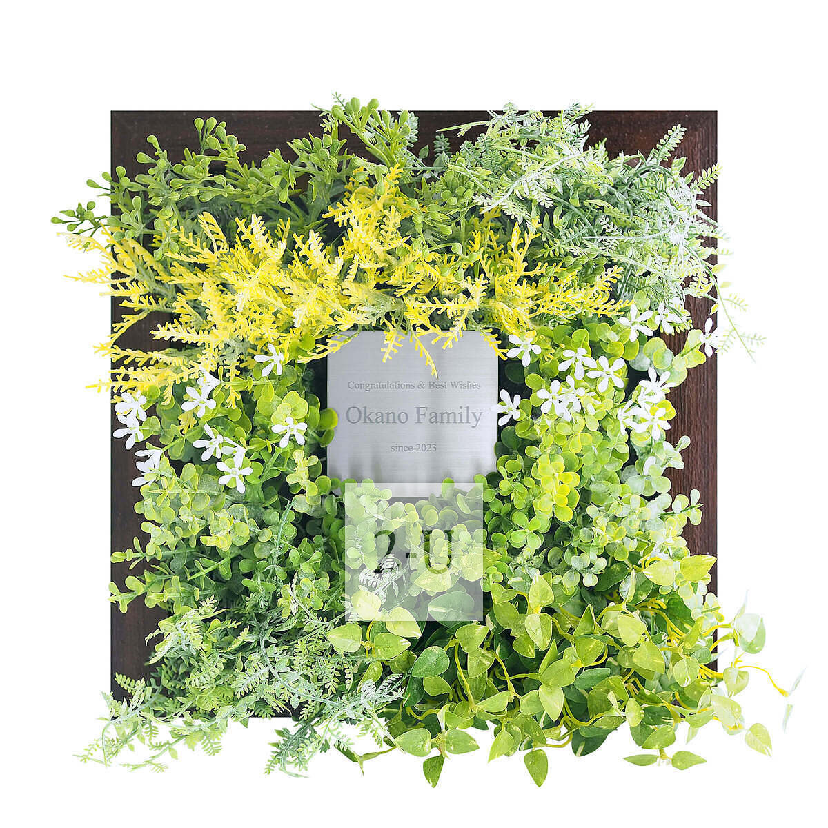 CT觸媒綠植藝朮畫框 棕色