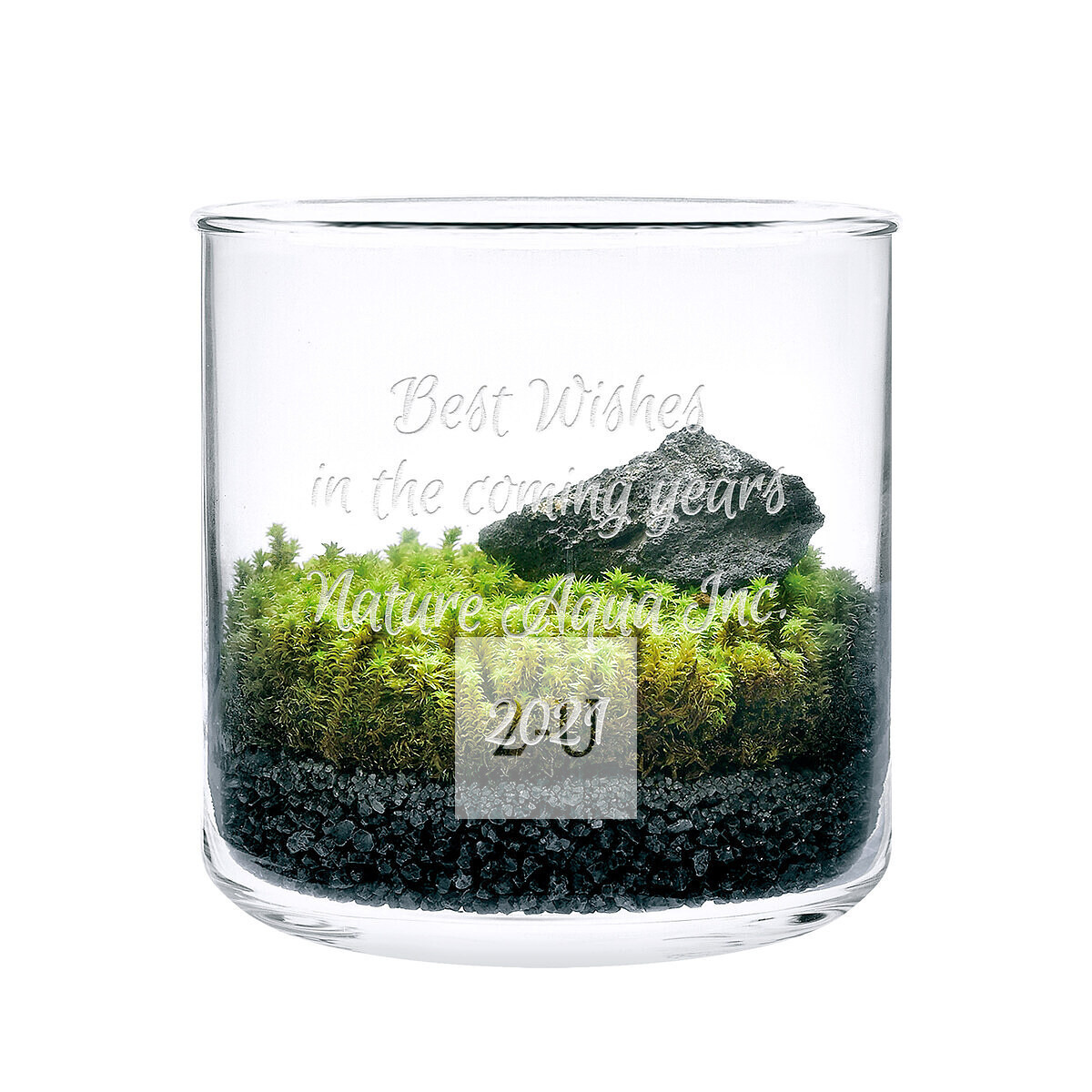 苔蘚微景觀DIY套裝 L