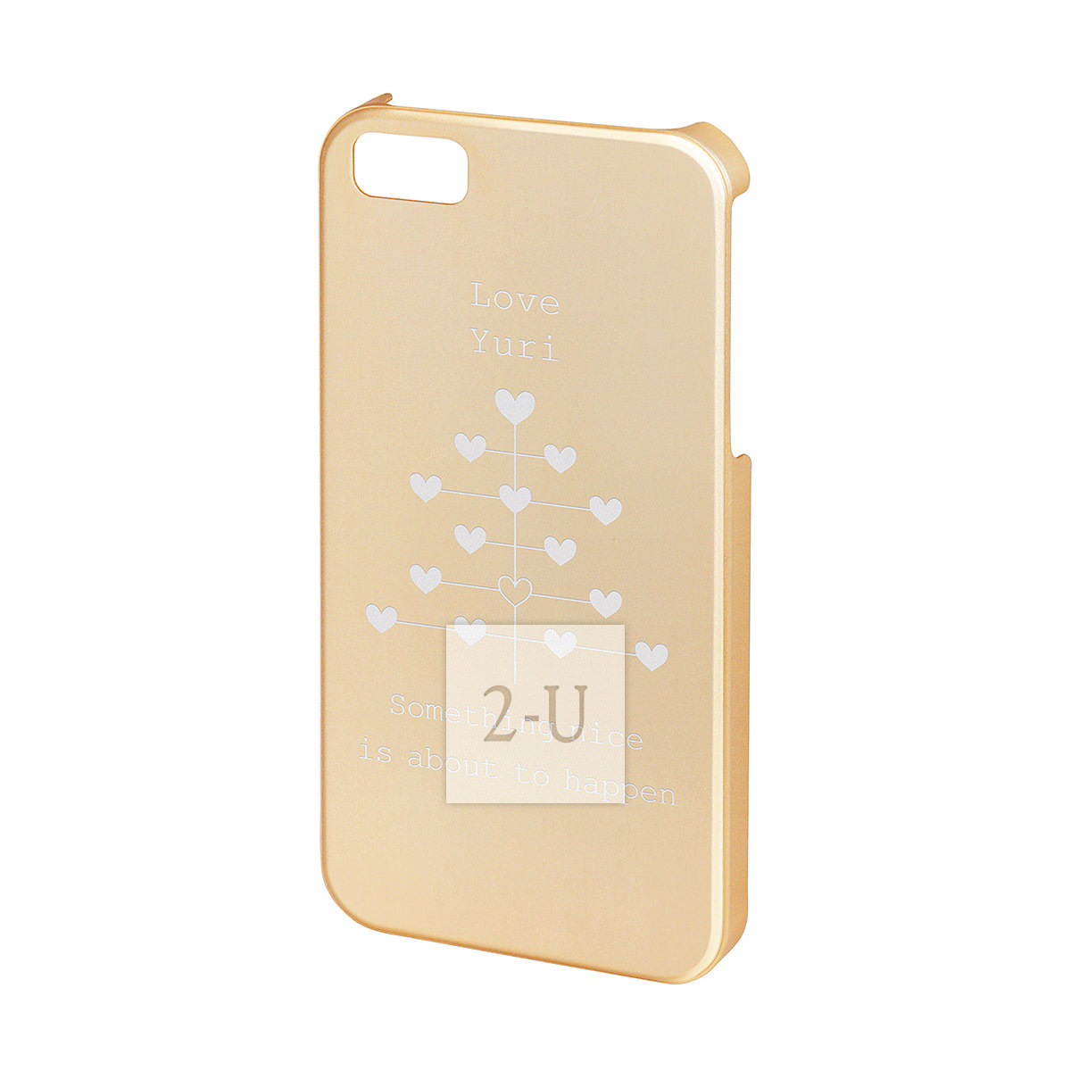 iPhone SE/5s/5 高品質手機殼diy鋁機身外殼 香檳金色