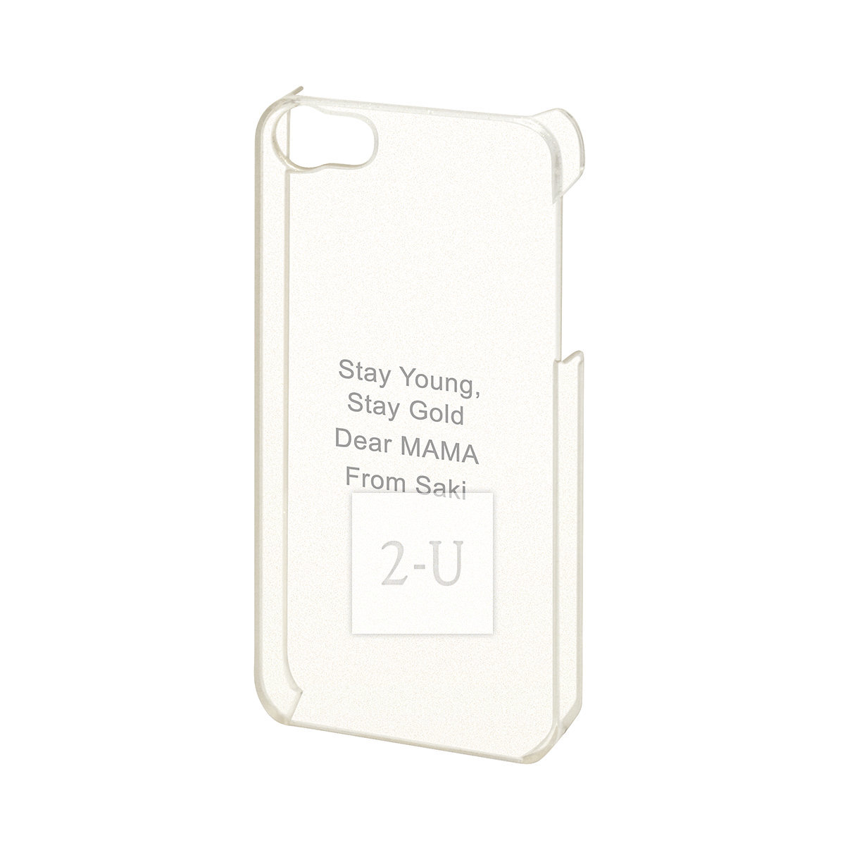 蘋果 Apple iPhone 5/5s/SE 外殼手機保護殼 閃閃銀粉透明色