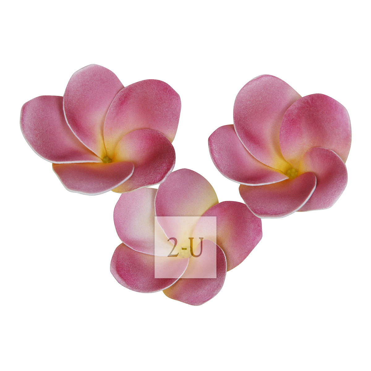 倣真人造 Plumeria 雞蛋花磁鐵吸附傢居裝飾 紫紅色