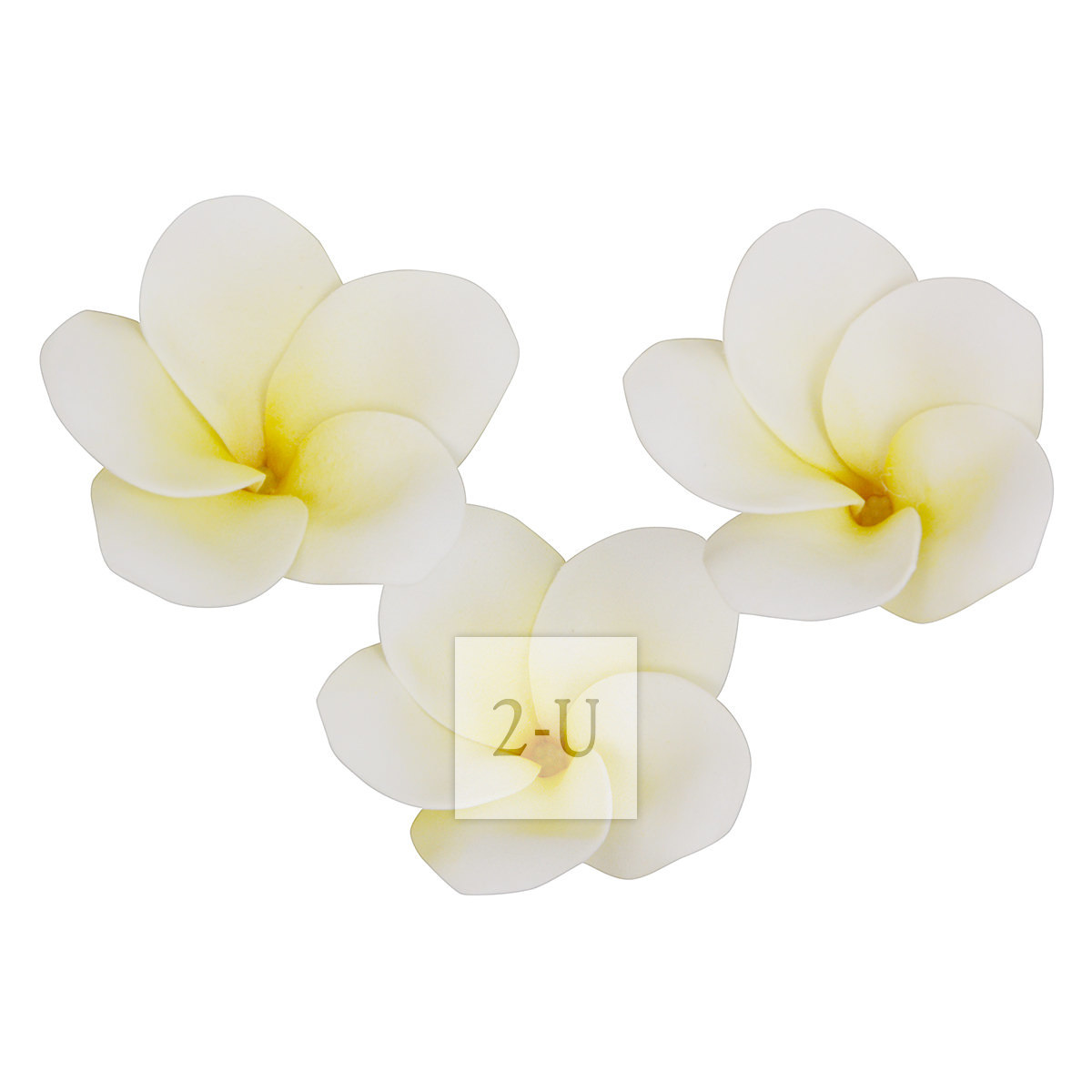 倣真人造 Plumeria 雞蛋花磁鐵吸附傢居裝飾 淡黃色