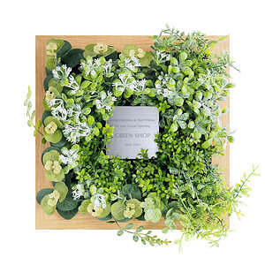 CT觸媒綠植藝朮畫框 原木色