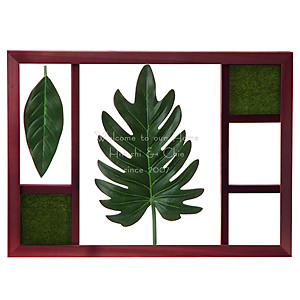 喜林芋葉立體畫框
