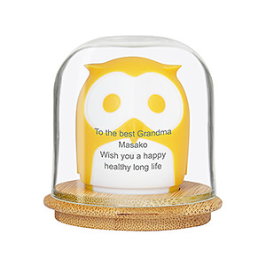 貓頭鷹螺絲刀頭收納盒 黃色