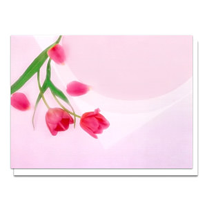桃紅鬱金香賀卡