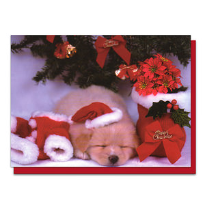 聖誕節小狗賀卡