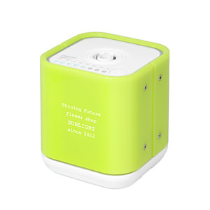 reac Japan 電蚊香器驅蚊器香熏器 Castro 草綠