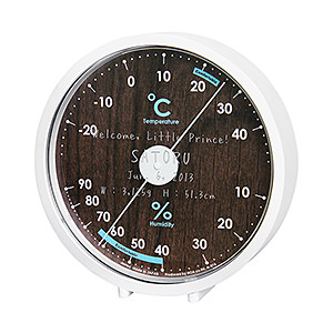 Ashley 溫度計溼度計