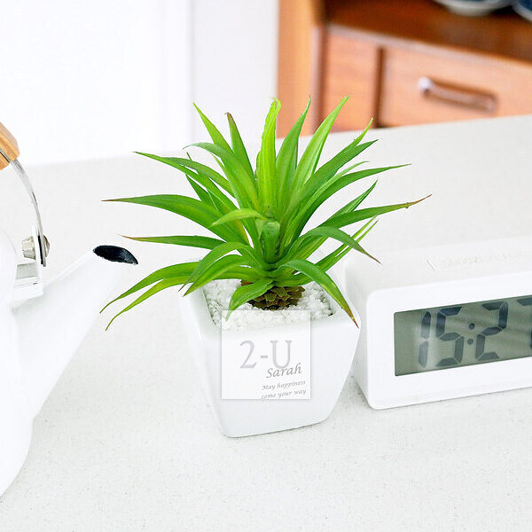 結婚賀禮 創意 1272615448