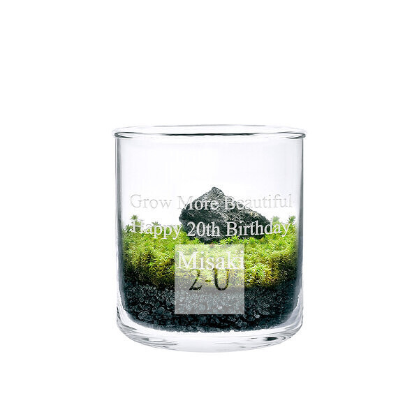 苔蘚微景觀DIY套裝 S