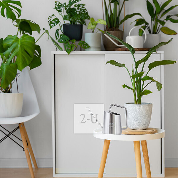 生子滿月 創意 1334731048