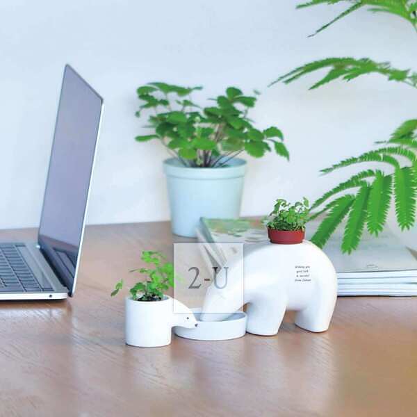 情人節送她 創意 1329983079