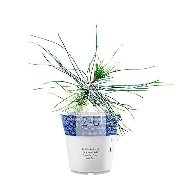 開業慶典 創意 1247654407