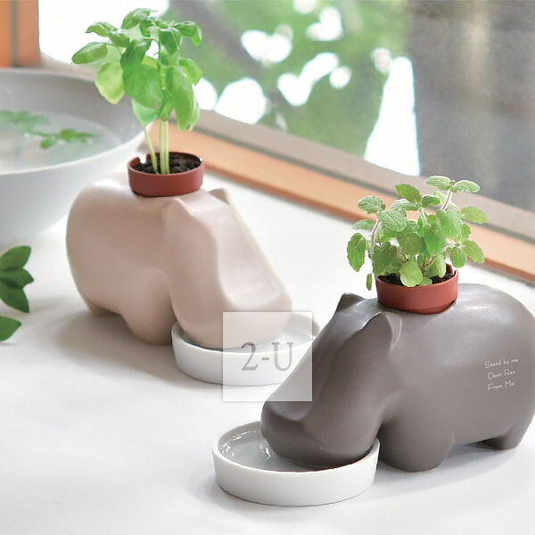 情人節送她 創意 1519900685