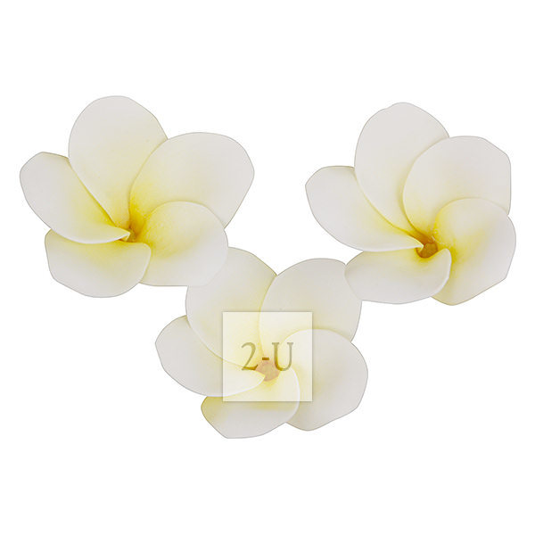 倣真人造 Plumeria 雞蛋花磁鐵吸附傢居裝飾 淡黃色